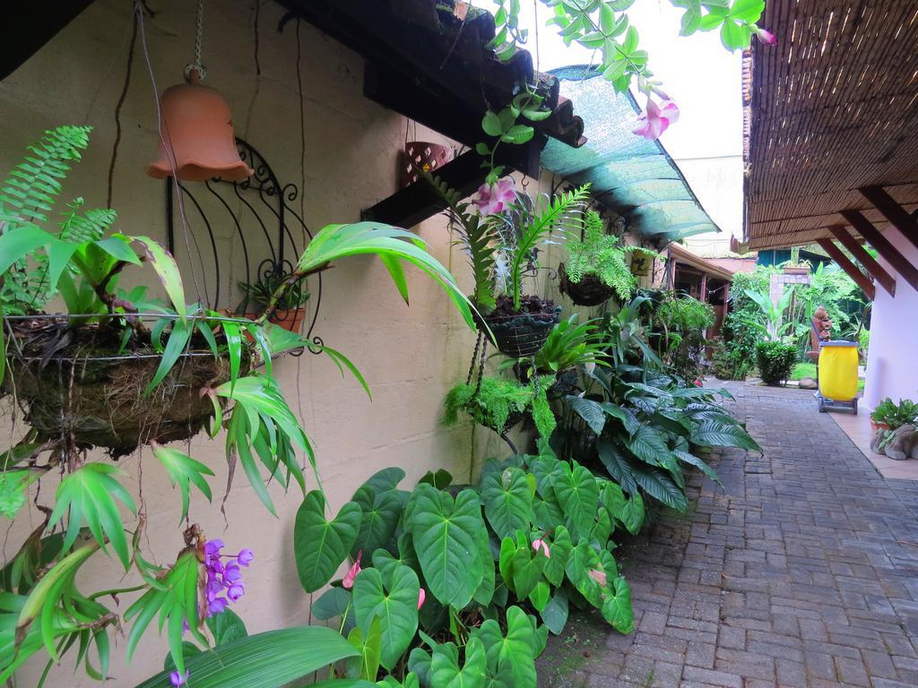 La Fortuna Hotel Vagabondo מראה חיצוני תמונה
